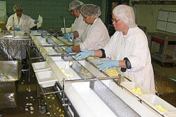 food processing