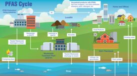 njdep-pfas-cycle-infographic.jpg